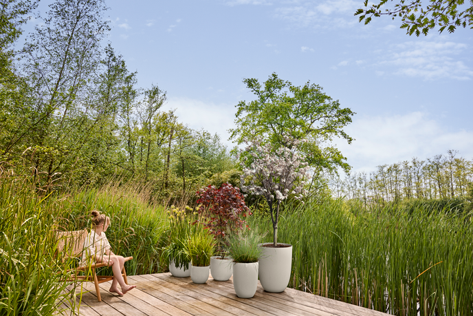 sereh hoog 30cm paddenstoel beige